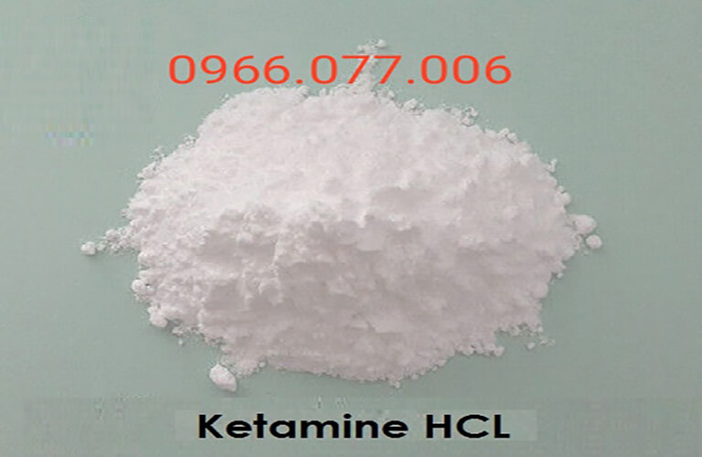 Thuốc mê Ketamine HCL dạng bột 